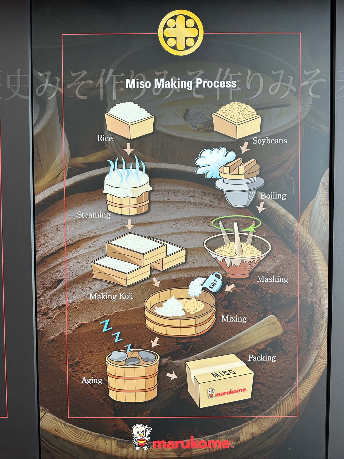 Picture of "How to make Miso"