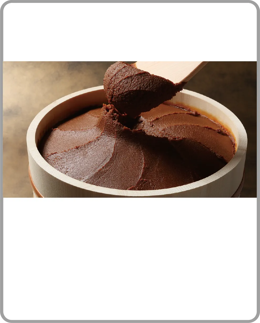 Red Miso, American-made fermented ingredient | Marukome USA