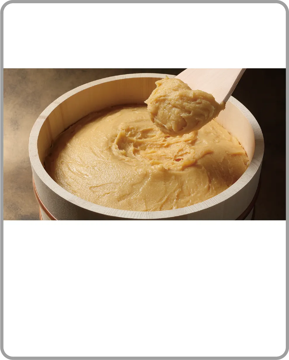 White Miso, American-made fermented ingredient | Marukome USA